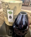 Scentsy Reflect Diffuser Shade. Fixed Price $23.80.