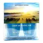 Bath & Body Works Crisp Morning Air Wallflower 2 Pk Refill. Fixed Price $14.99.