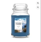 Yankee Ocean Air Original Large Jar Scented Candles, 22 Oz. Fixed Price $7.99.