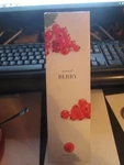 Martha Stewart Collection Reed Diffuser 5.5 Fl Oz. Currant Berry Nib. Fixed Price $18.99.