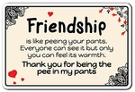 Friendship Is Like Peeing Sign Love Bond Indoor/outdoor .... Fixed Price $30.34.