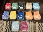 Scentsy Wax Bars Lot 12 Melts Classic - Leather, Black Tie, Eucalyptus. Fixed Price $59.99.