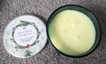 New Unused Pier Holiday Forest 3 Wick 14OZ Scented Candle AB1907 Frosted Glass. Fixed Price $44.96.