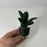 Bath & Body Works Sleek Potted Botanical Plant Wallflower Fragrance Plug Holder. Fixed Price $19.72.