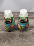 Renuzit 43100CT Adjustables Air Freshener - After The Rain Scent (2PK) New. Fixed Price $24.99.