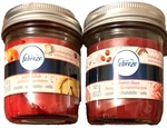 2 Pack Febreze Jar Candles - 1 Cranberry Cheer Apple Delish 5 Oz Each New. Fixed Price $14.95.