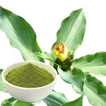 Organic Insulin Plant Powder 40G Natural Blood Sugar Support-pure Thebu Leaves. Fixed Price $13.99.