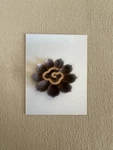 Sacred Cloud Sticks Incense Handmade With Yew Herbs Monk-blessed 60 Min Burn. Fixed Price $29.99.