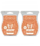 Scentsy Wax Bars Hey, Tiger Lilly Discontinued 2 - Ships Icepack New. Fixed Price $16.98.