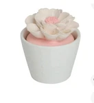 Bluzen Oil Diffuser Kit Desert Flower Ceramic New Included. Fixed Price $17.99.