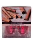 New Bath & Body Works Cinnamon Stick Wallflowers Refill 2 Bulbs Pack. Fixed Price $15.95.