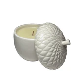New Bath Body Works Harry Slatkin 2009 Creamy Nutmeg Acorn 3OZ Candle. Fixed Price $14.39.