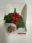 Scentsationals Winter Berries Holiday Fragrance Oil Diffuser New. Fixed Price $5.99.