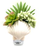 Bath & Body Works Scallop Sea Shell Succulent Plant Wallflower Fragrance Plug In. Fixed Price $23.32.