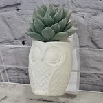Owl Planter With Succulent Wallflower Scent Diffuser By Bath & Body Works. Fixed Price $12.00.