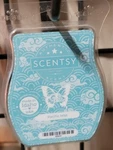 Scentsy Pacific Mist Scented Wax Bar. Fixed Price $10.00.