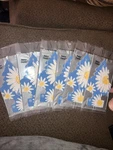 6 Little Tree Daisy Fields Air Fresheners Discontinued Scent Freshners. Fixed Price $14.99.