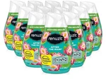 Renuzit Adjustable Gel Air Freshener Cone, After The Rain SCENT,12 Pack. Fixed Price $32.95.