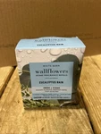 Bath & Body Works Eucalyptus Rain Wallflowers Fragrance Refill Bulbs 2 Pack New. Fixed Price $15.00.