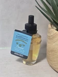 1 Bath & Body Works Focus Eucalyptus Tea Wallflower Fragrance Oil Refill Bulb. Fixed Price $19.95.