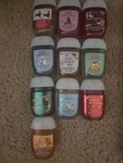 Bath & Body Works Set Of 10 Fall/winter/thanksgiving/christmas Hand Sanitizers. Fixed Price $24.00.