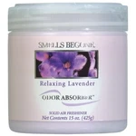 Smells Begone Solid Odor Absorber. Fixed Price $17.22.