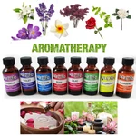 8PC Essential Oils Aromatherapy Therapeutic Natural Fragrances Diffuser Burner. Fixed Price $12.95.