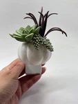 Bbw Bath And Body Works Succulent Bling Wallflower Warmer Plug Used Fall. Fixed Price $23.74.